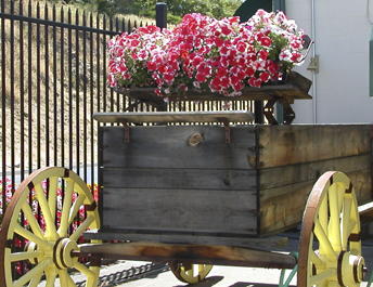 flower wagon